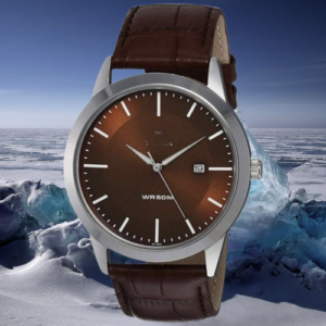 Analog with Date Brown Dial Leather Strap Watch for Men