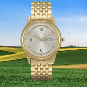 Analog Light Gold Dial Golden Stainless Steel Strap Men’s Watch